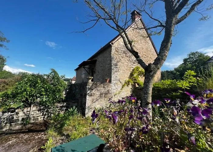 Сasa de vacaciones L'oustal De L'olivier Rignac (Lot)